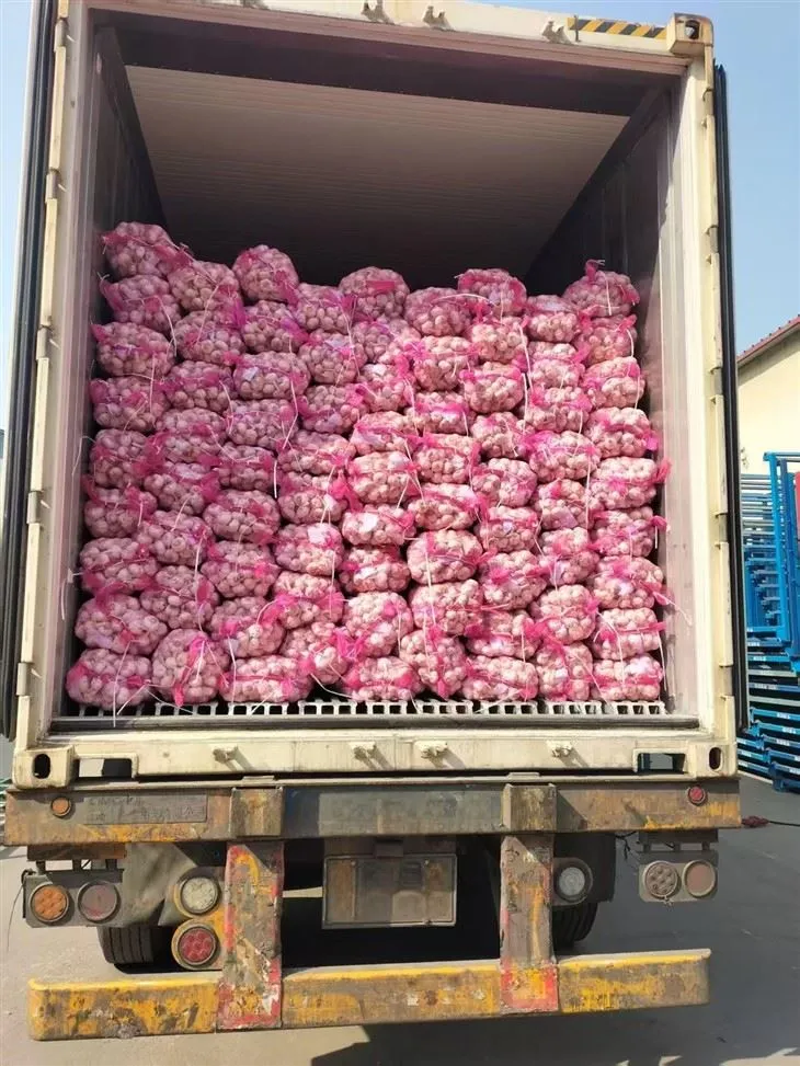 Fín blöndu hvítlaukur